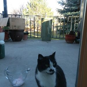 Meet your Posher, Grant